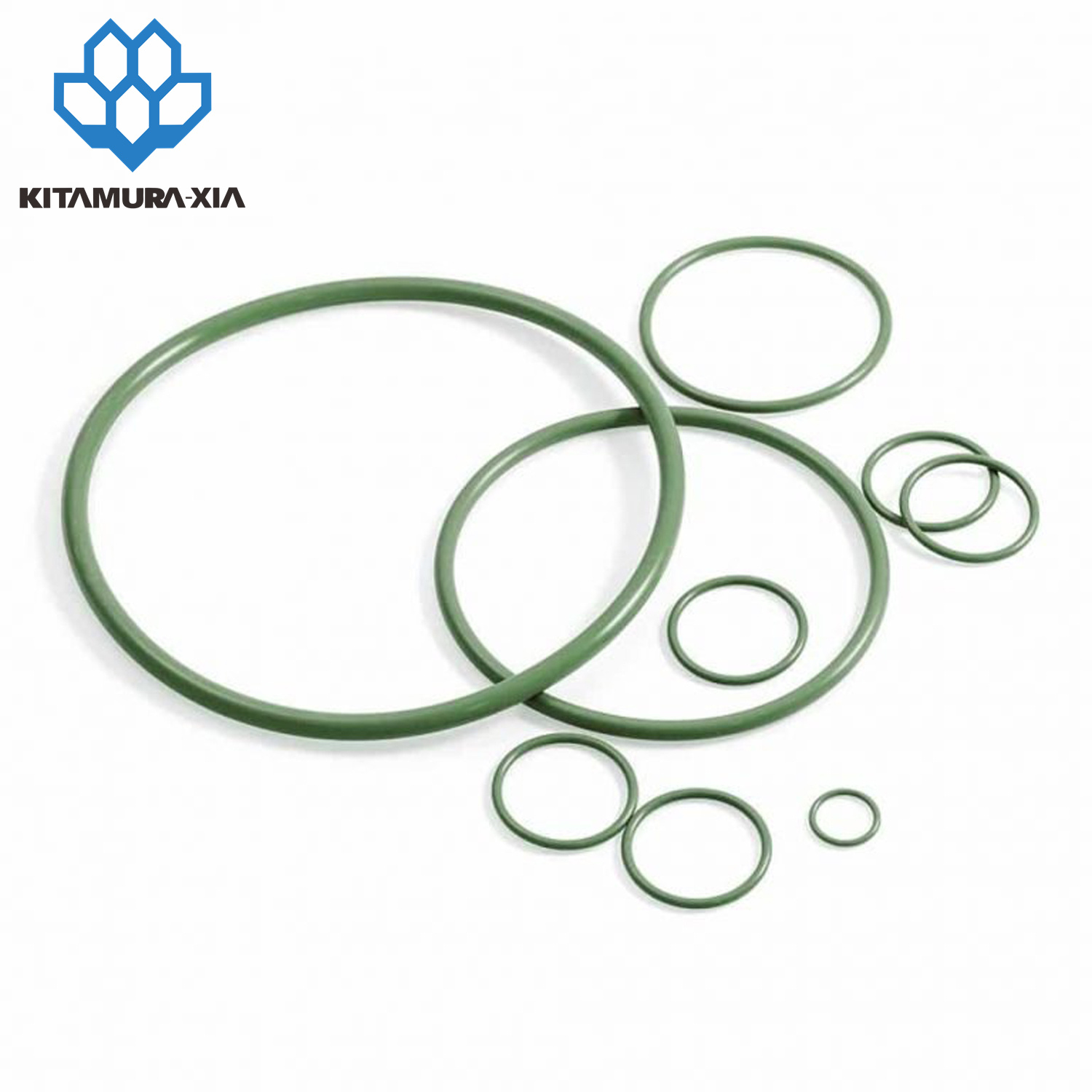 Oil Seal 